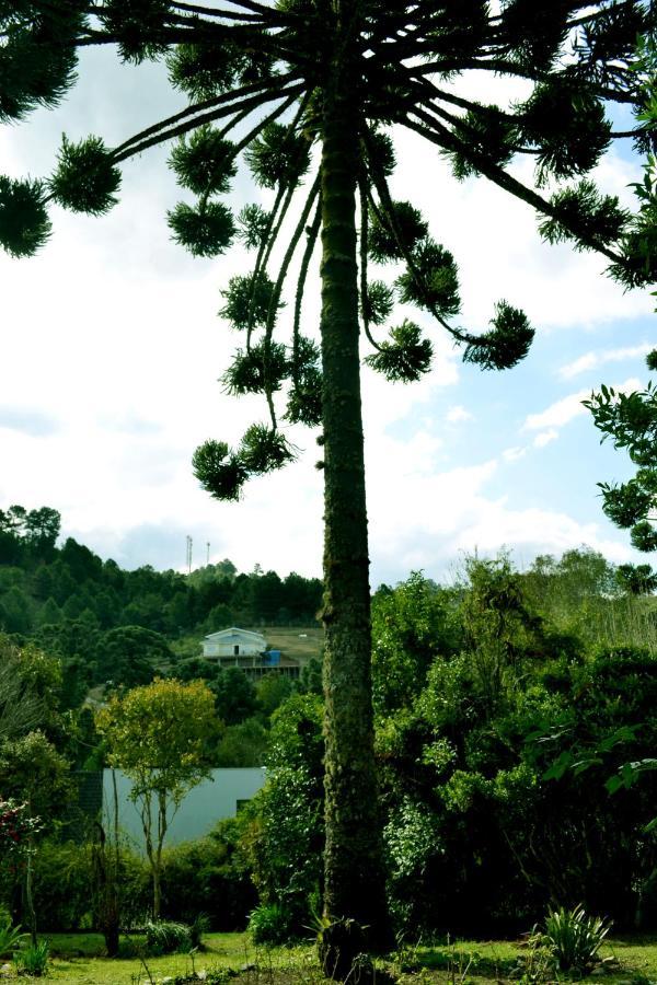 Casa Sirin Villa กังโปสดูจอร์เดา ภายนอก รูปภาพ